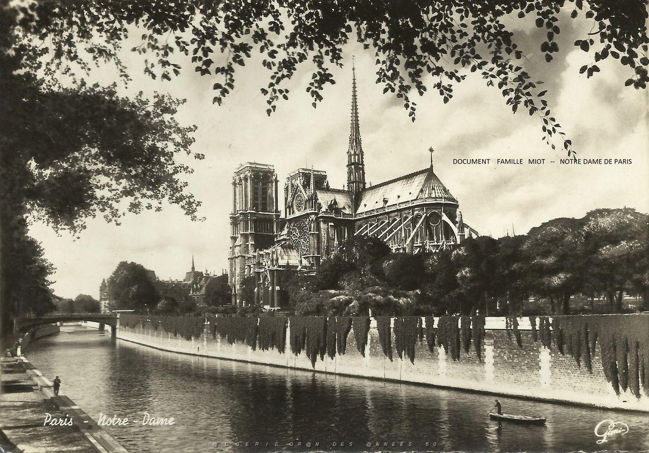 126   ARRIERE NOTRE DAME.jpg